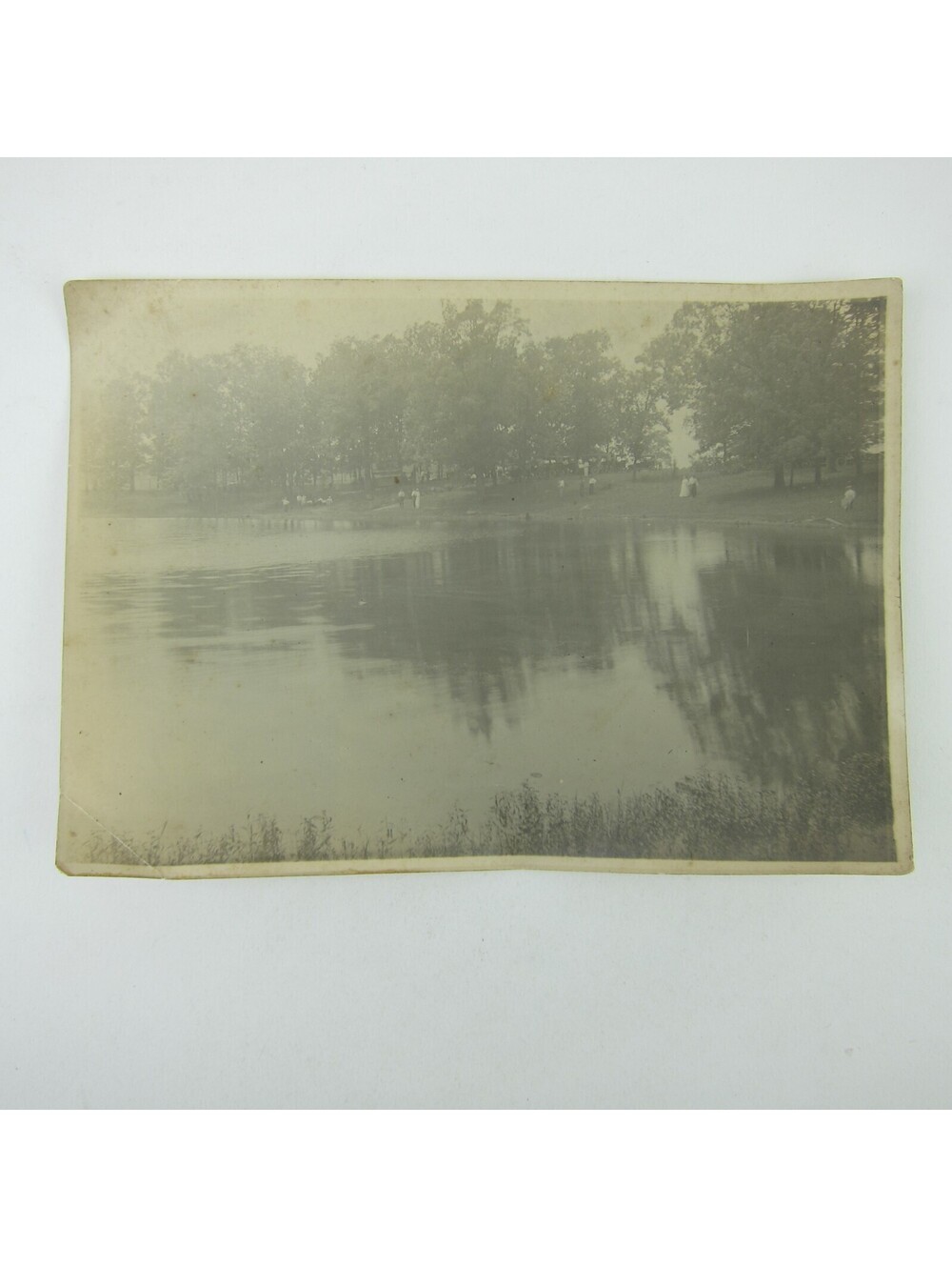 Antique 1910s Photograph at Lake Men & Women Automobiles Cars Trees Water Edge